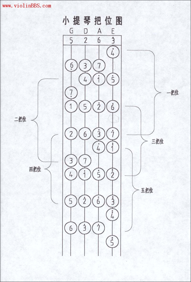 识谱小提琴