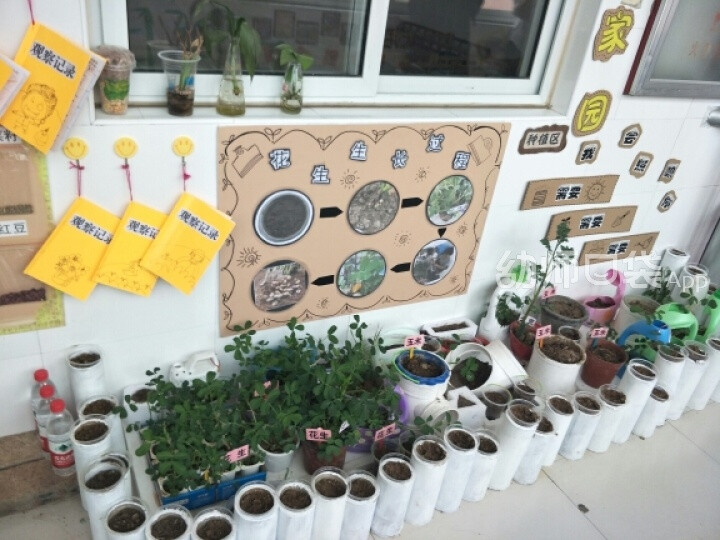 植物角 自然角