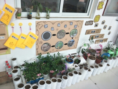 植物角 自然角