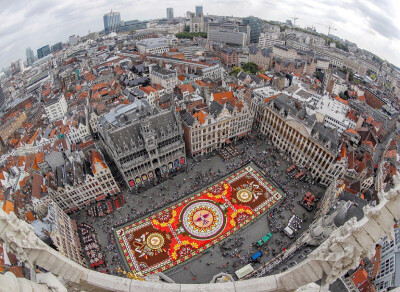 
布鲁塞尔大广场铺设一幅巨型「鲜花地毯」（Flower Carpet），比利时。「鲜花地毯」传统最早起源于1971年，今年以墨西哥著名城市「瓜纳华托」为主题，地毯图案中加入青蛙、飞鸟、太阳、原住民等特色元素。这是第一块…
