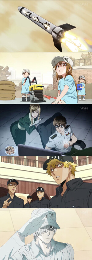 工作细胞  喷嚏一号，发射成功