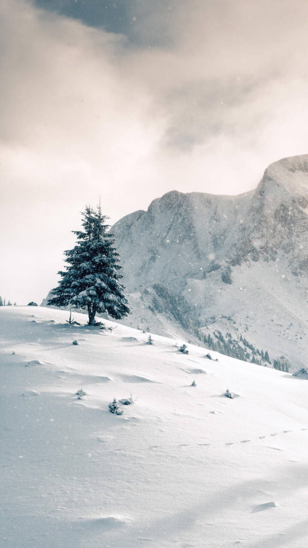 冬天雪景