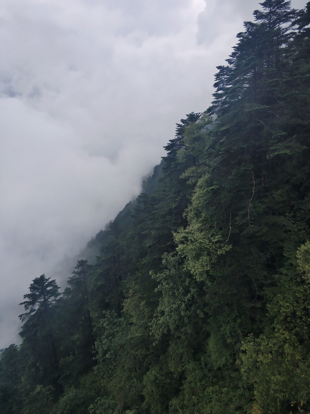 西岭雪山