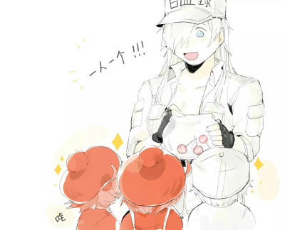 工作细胞-白细胞小姐 红细胞 白细胞