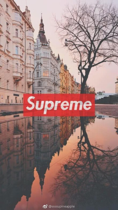 Supreme壁纸