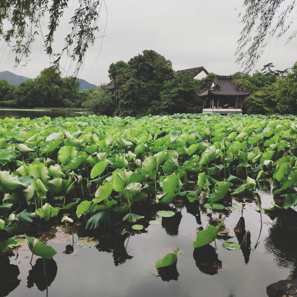 杭州 西湖