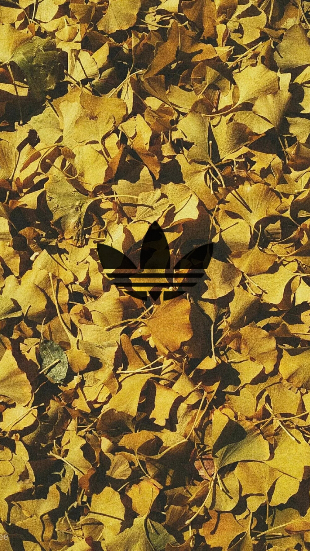 adidas wallpaper