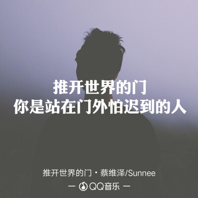 蔡维泽，sunnee《推开世界的门》