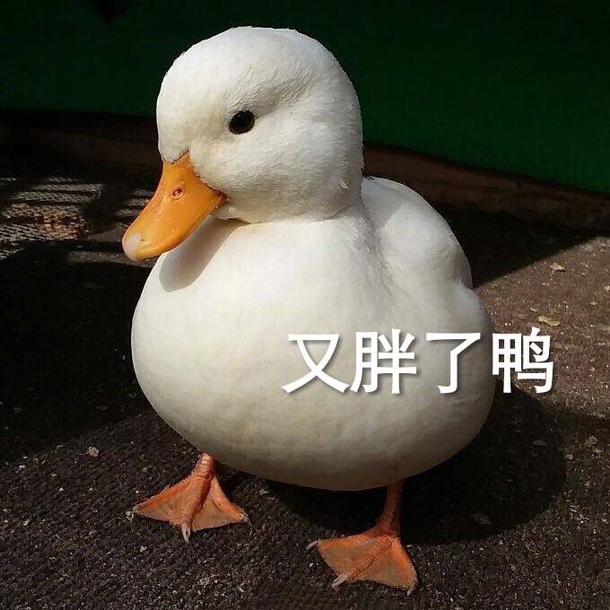 表情包