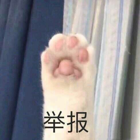 猫 狗 表情包