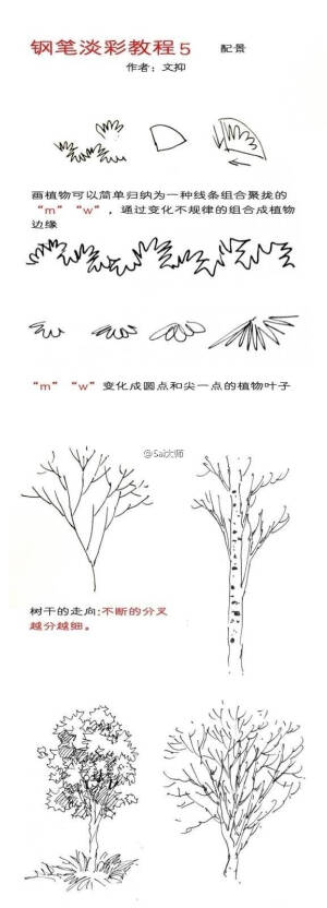 素材  绘画教程