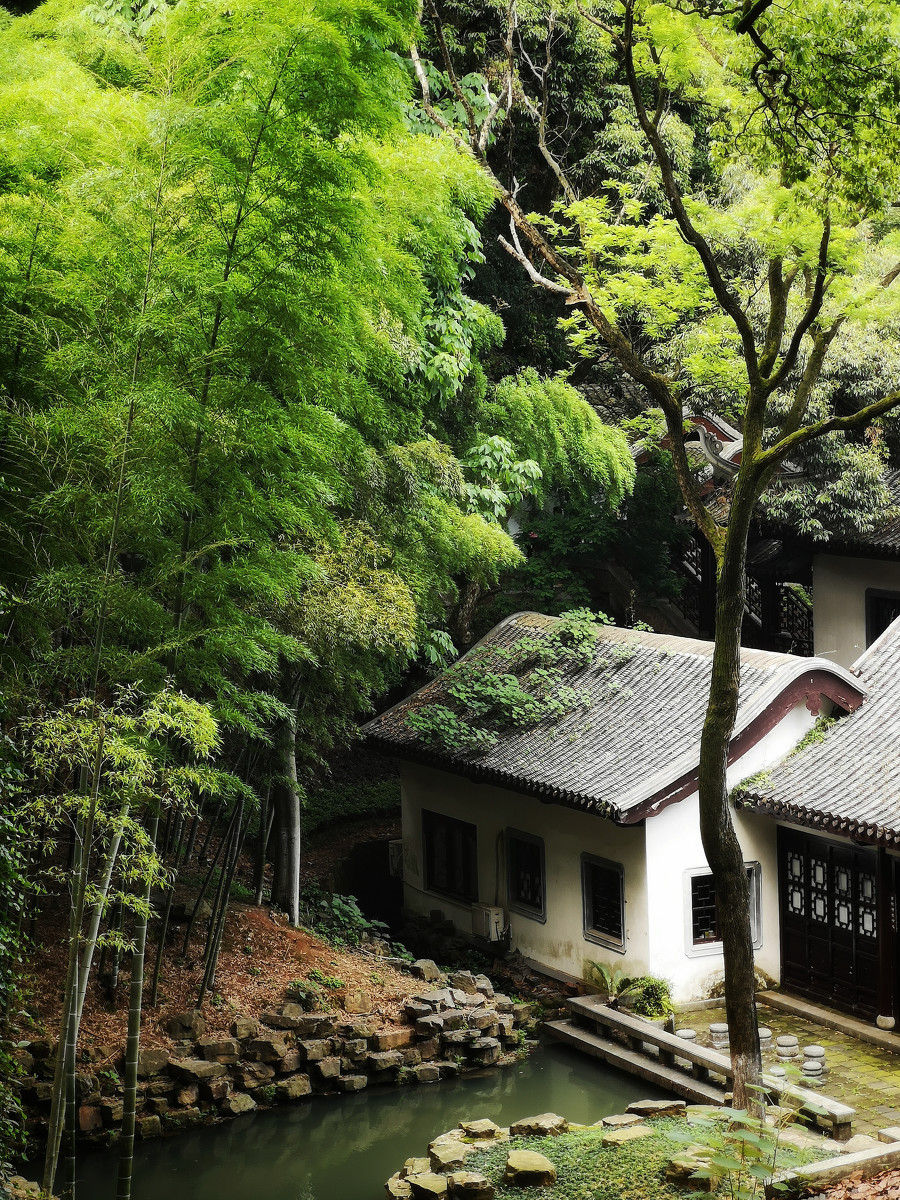 岁月拾遗 美景 风景