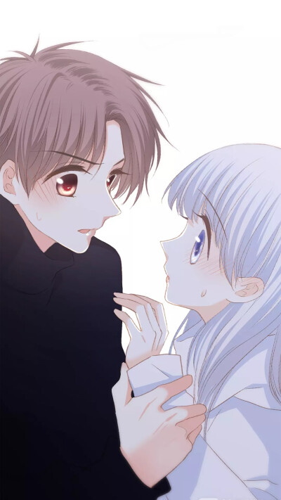 （自截）白泉/卓一阳——「你的温柔。」