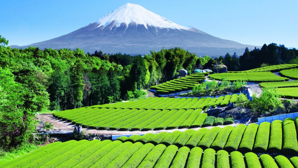 素材-日本风景-富士山