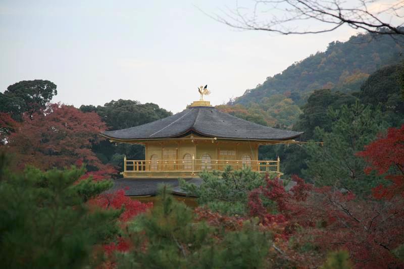 素材-日本风景-秋天