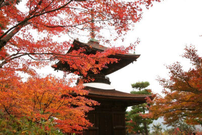 素材-日本风景-秋天