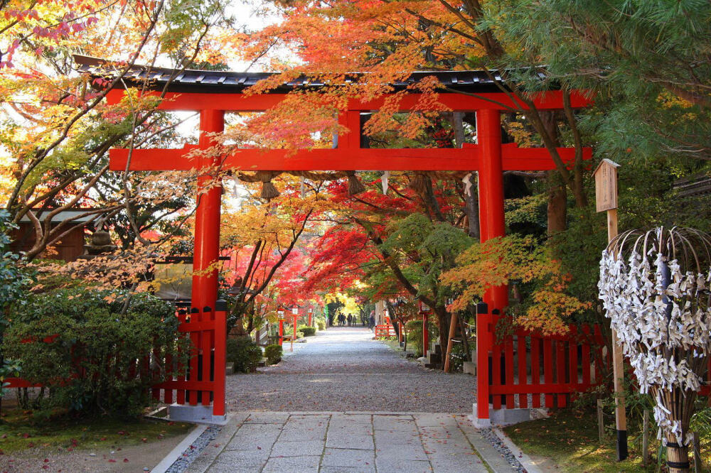 素材-日本风景-秋天