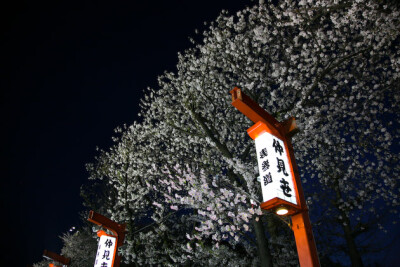素材-日本风景-夜景
