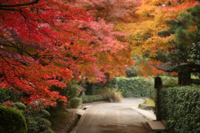 素材-日本风景-园林神社寺庙