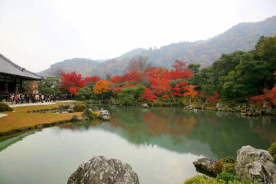 素材-日本风景-园林神社寺庙