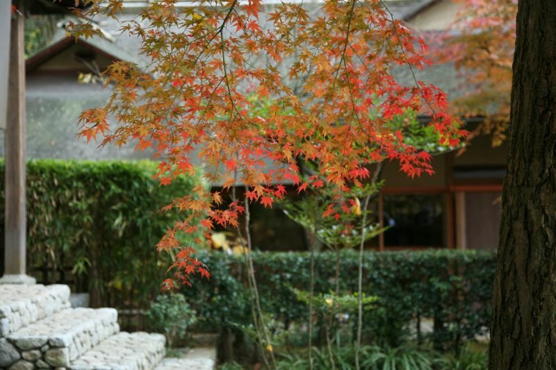 素材-日本风景-园林神社寺庙