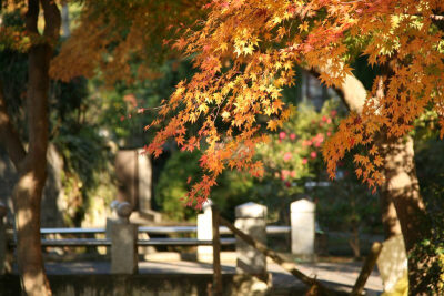 素材-日本风景-园林神社寺庙