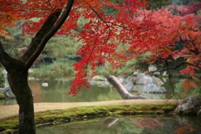 素材-日本風(fēng)景-園林神社寺廟