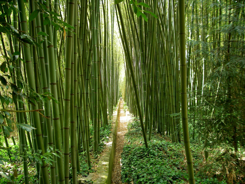 素材-日本風(fēng)景-園林神社寺廟