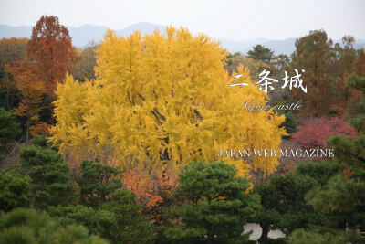 素材-日本风景-园林神社寺庙