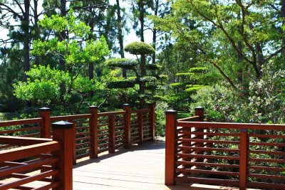 素材-日本風(fēng)景-園林神社寺廟