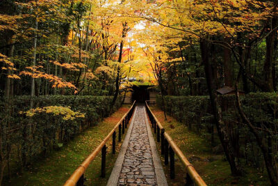 素材-日本风景-园林神社寺庙