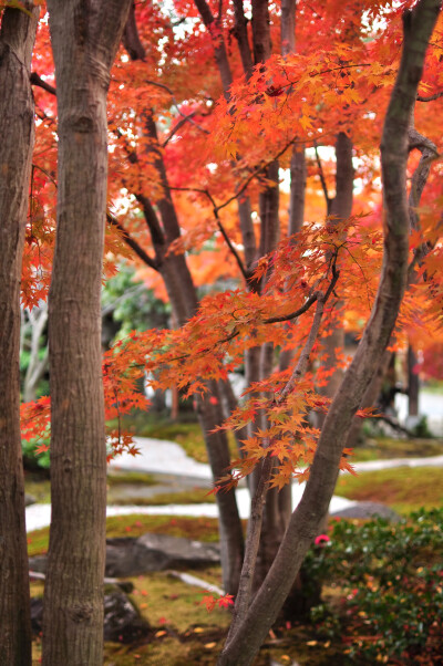 素材-日本风景-园林神社寺庙