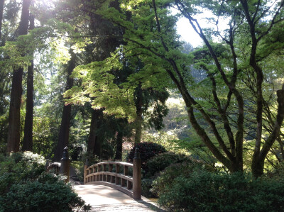 素材-日本风景-园林神社寺庙