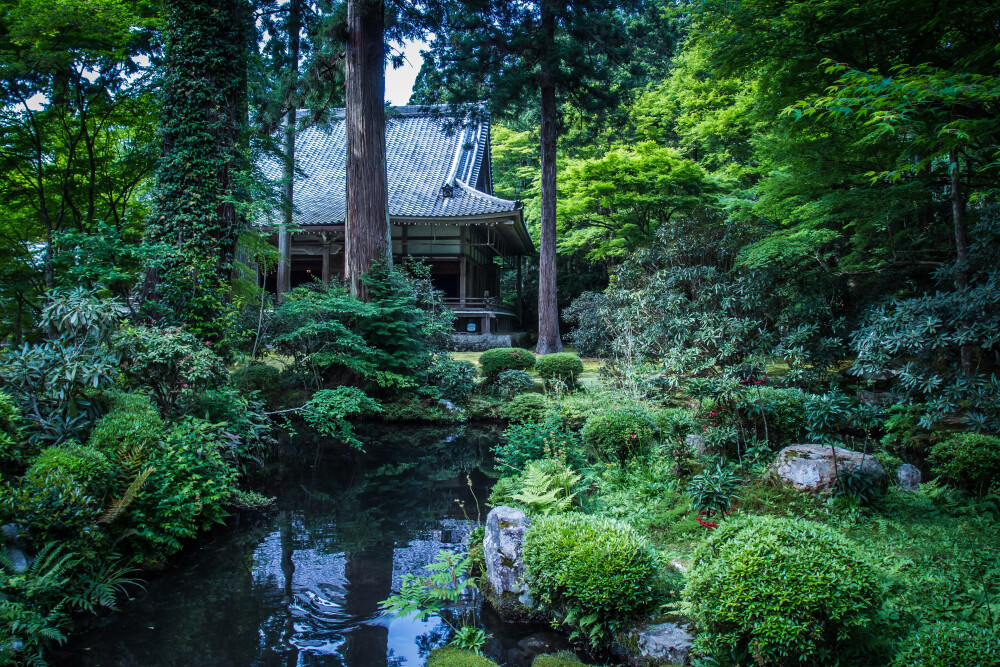 素材-日本风景-园林神社寺庙