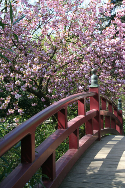 素材-日本风景-园林神社寺庙