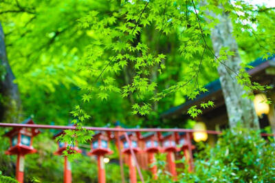 素材-日本风景-园林神社寺庙