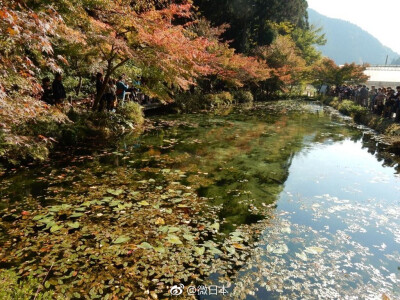 素材-日本风景-园林神社寺庙