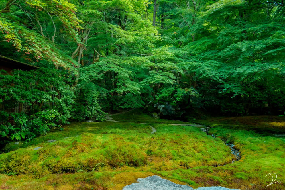 素材-日本风景-园林神社寺庙