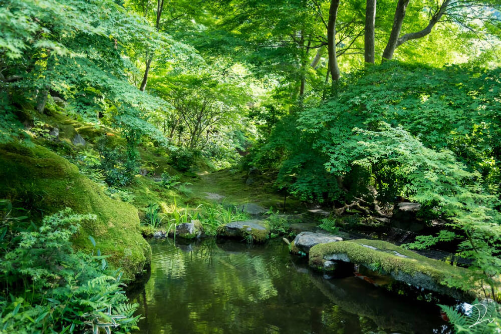 素材-日本风景-园林神社寺庙