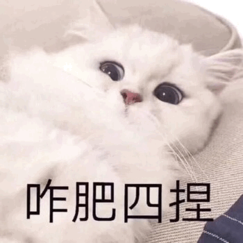 人间值得