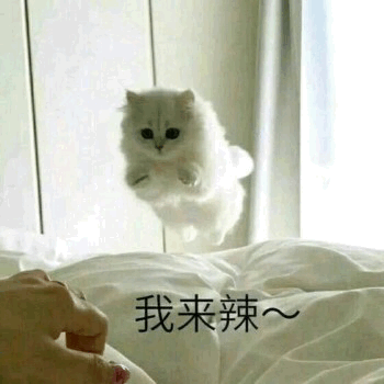 人间值得