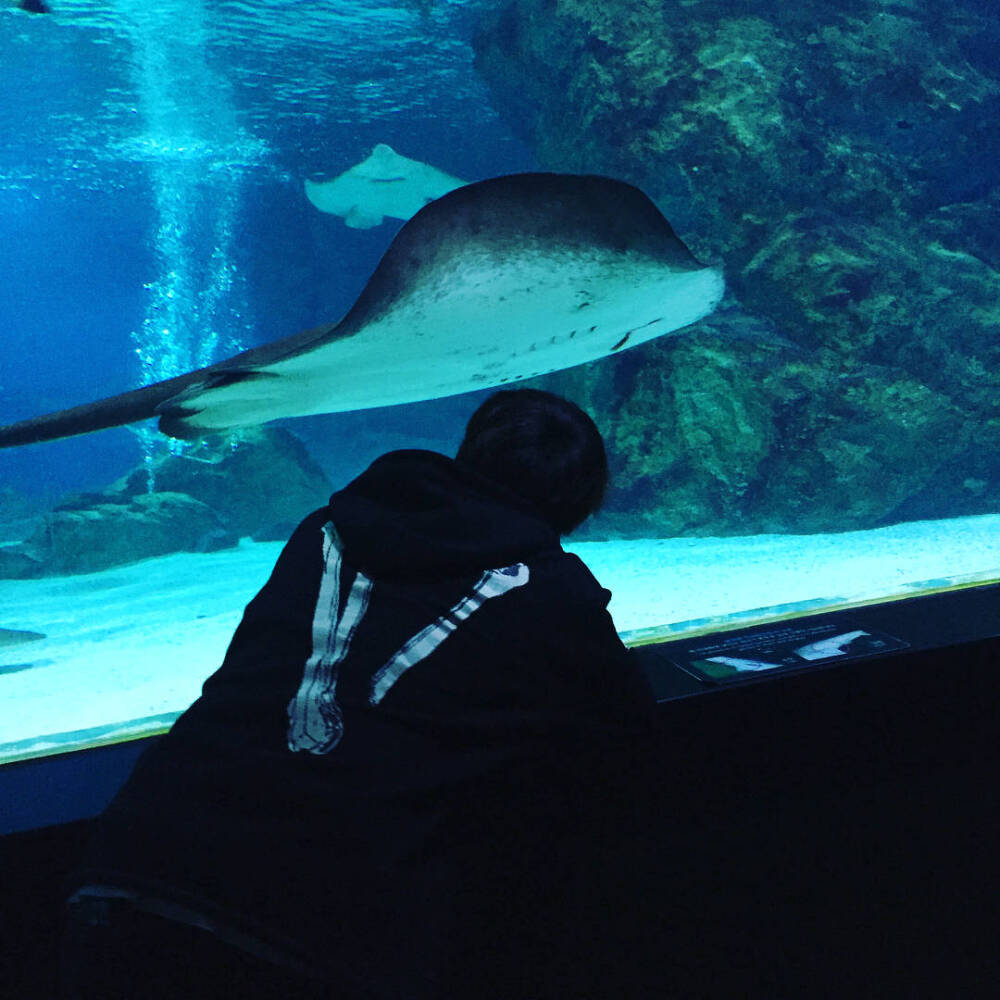 水族馆