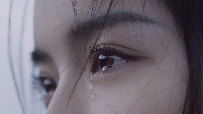 〈陆之初〉橙光常用场景／背景图／素材／真人