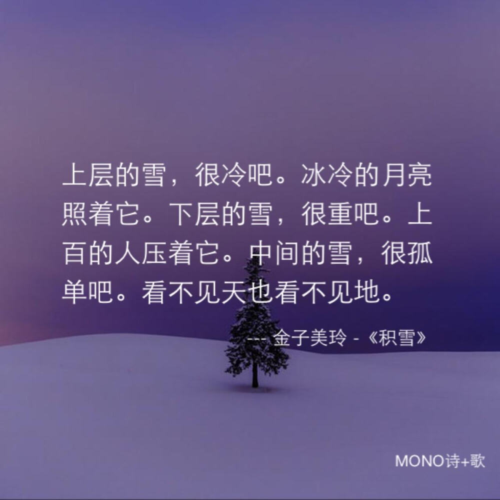 MONO海报.