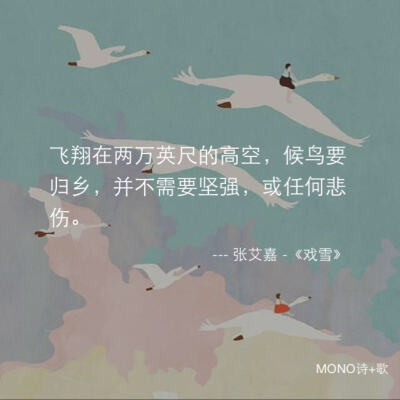 MONO海报.