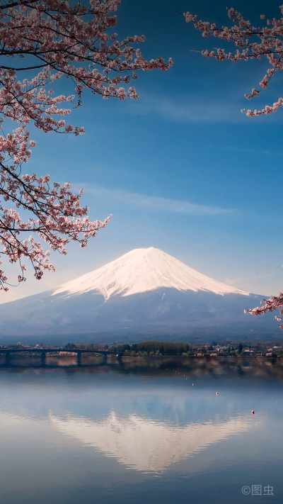 富士山下