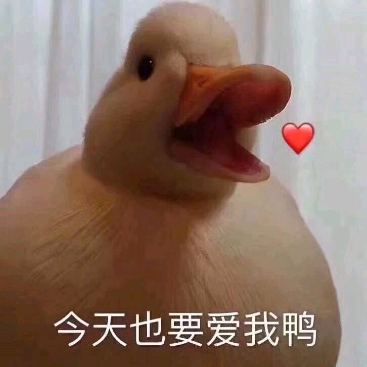 表情包。@何以