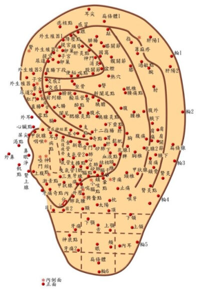 【耳穴治疗口腔溃疡，神！】我的夫人以前每月必发一次以上口腔溃疡，连喷锡类散等均无效，用简易X形平衡法的耳穴法，只粗压约5天，搞定！已经好几个月没发了。我压的耳朵穴位，就是参照人体X型平衡法上压的 （简易X…