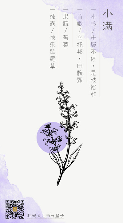 小满x快乐鼠尾草［节气盒子 打开一种纯露生活方式］