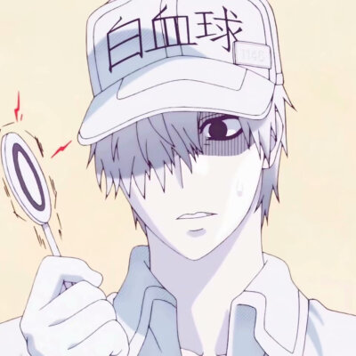 《工作细胞》血小板 白细胞